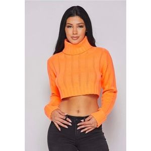 Long sleeve cropped turtleneck